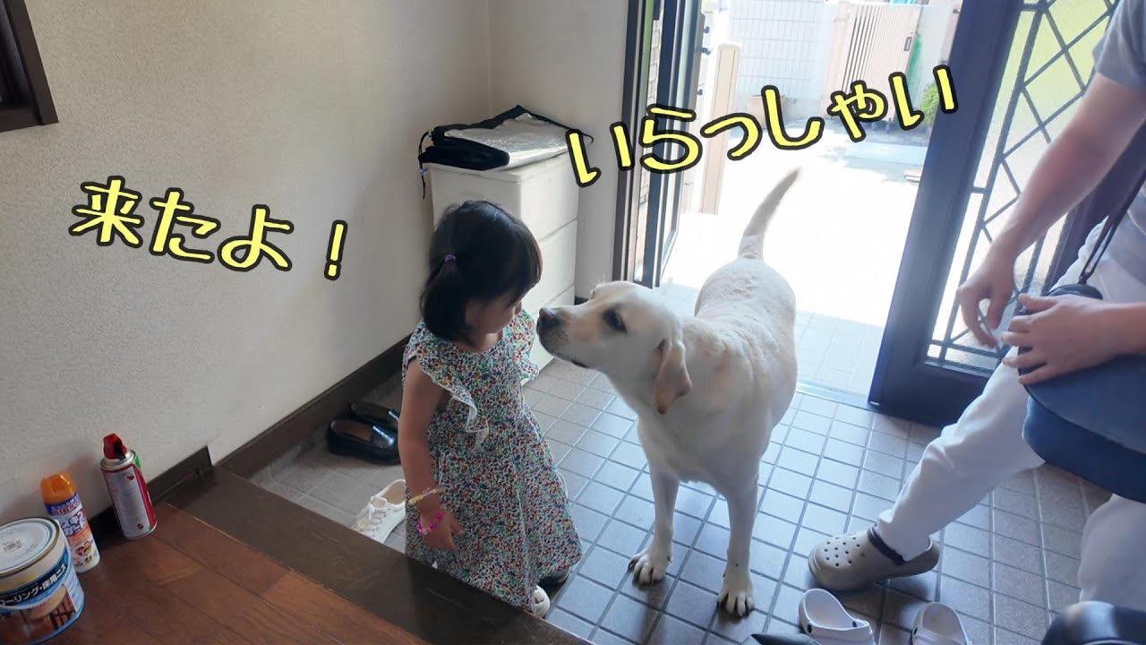 長女が入院‼…のため孫を預かることになった