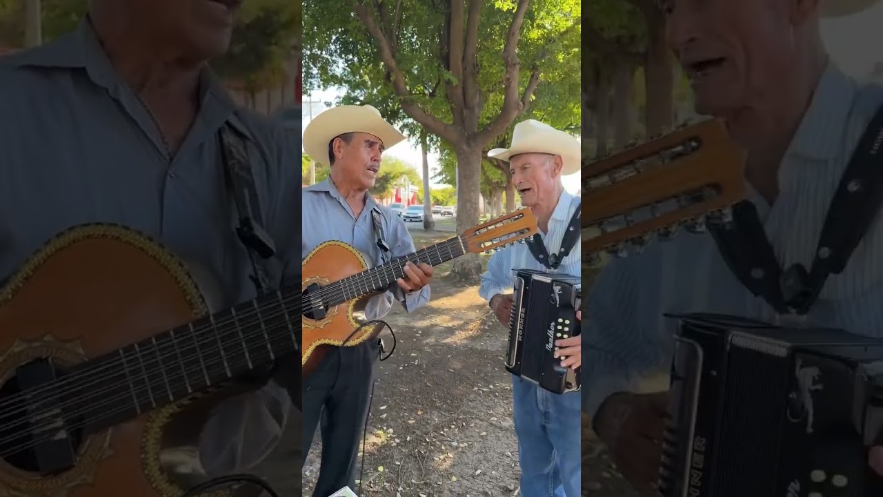 est&aacute; canci&oacute;n es viejita pero bonita