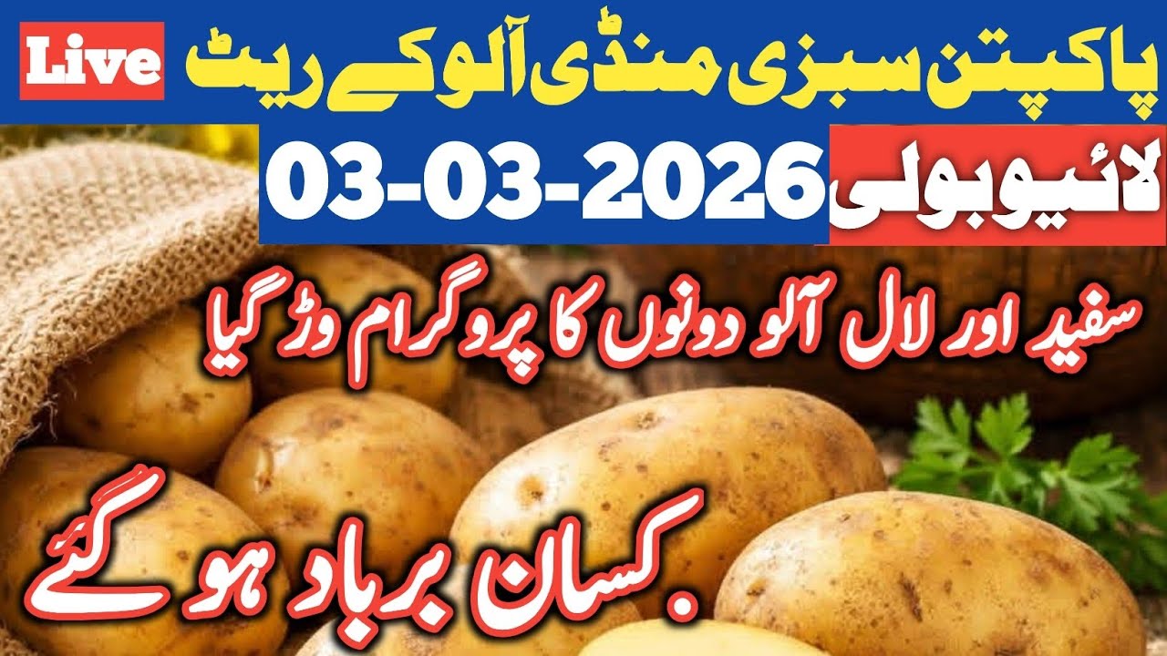 Today Potato Rates in Pakpattan Sabzi Mandi | Latest Market Prices 2026