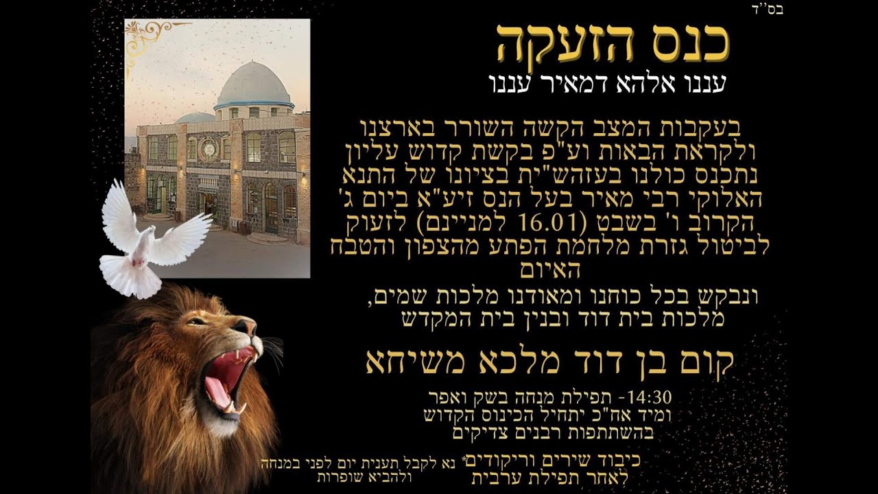 כנס הזעקה ברבי מאיר בעל הנס    ו בשבט תשע
