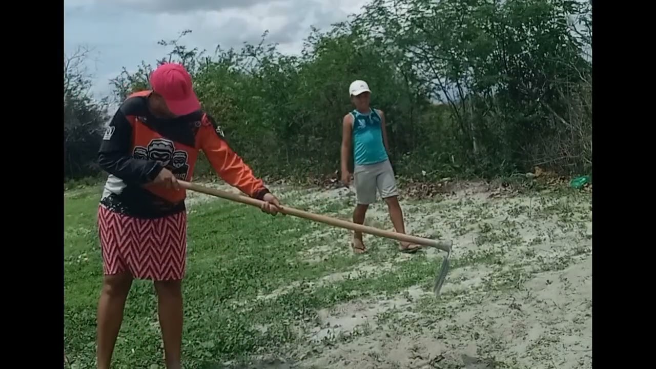 Vem acompanhar a nossa plantação no sítio 🌽🌽🌱🌱