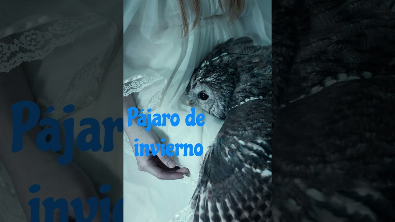 PÁJARO DE INVIERNO