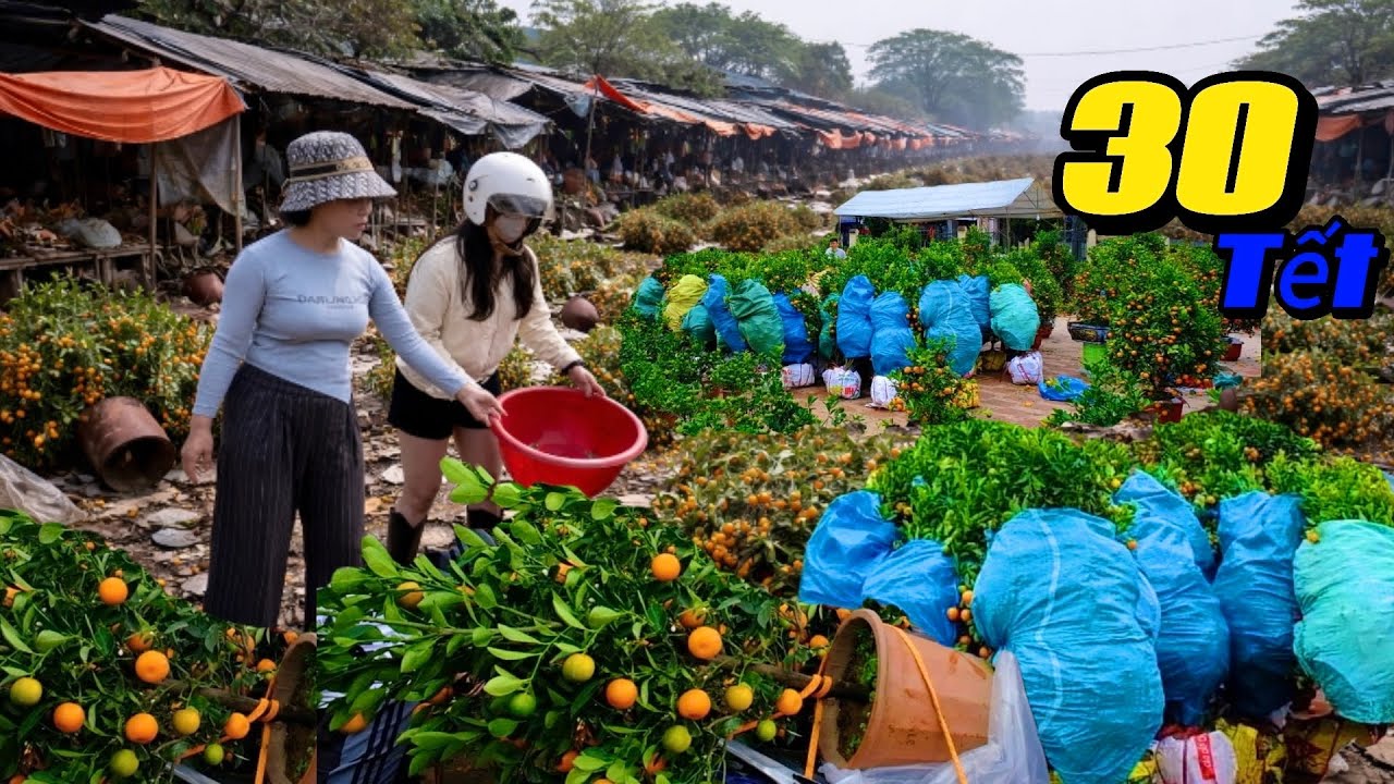 Bán Rẻ ! Đại Hạ Giá Chiều 30 Tết - Chợ Quất Tết Ế Chổng Mông