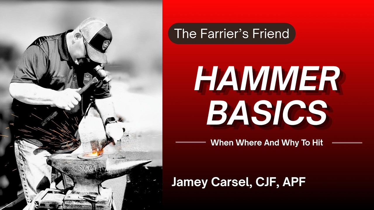 🔨 Hammer Basics: When, Where & Why to Hit