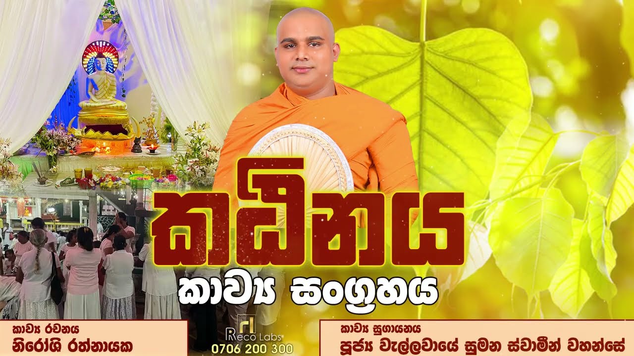 මනුලොවේ උත්තුංග පින්සාර පුණ්‍යවන්ත කඨිනය...🍃🍃