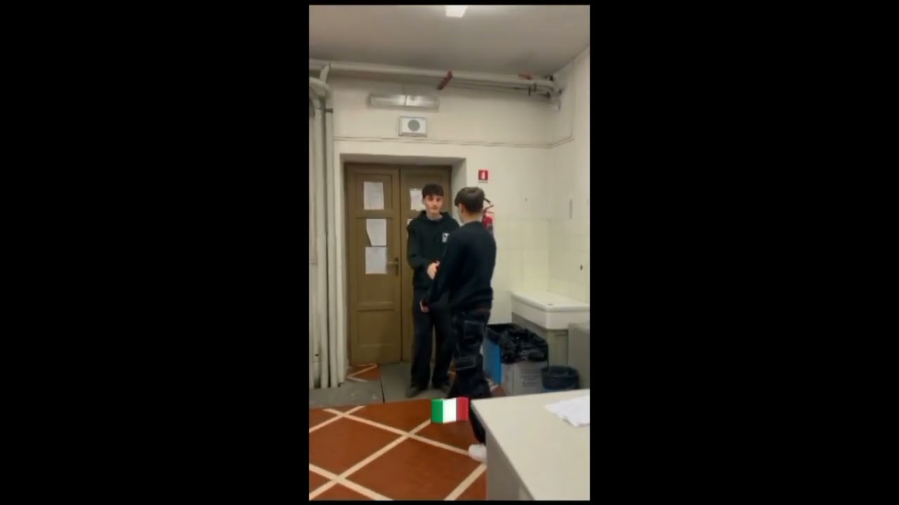 iStep intercultural (working habits in Germany and Italy)