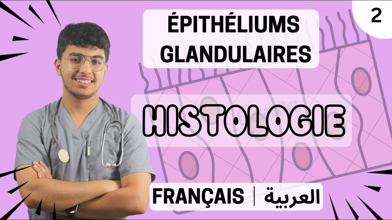 Histologie: Les épithéliums glandulaires - Français