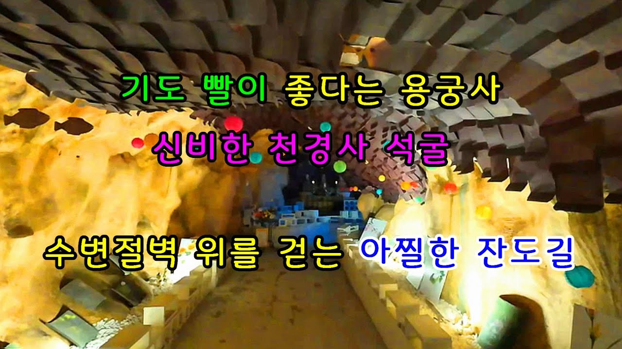 4K 밀양의 아름다운 절경과 아찔한 절벽 잔도를 따라 영남루까지 산책 코스
