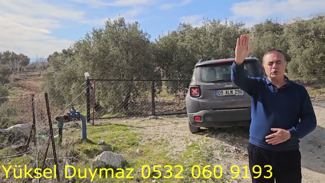 AYDIN BOZDOGAN  SATILIK 20 DÖNÜM ZEYTİNLİK FİYATI KELEPİR TAM FIRSAT YERİ DAHA UCUZU SAHİDEN YOK !
