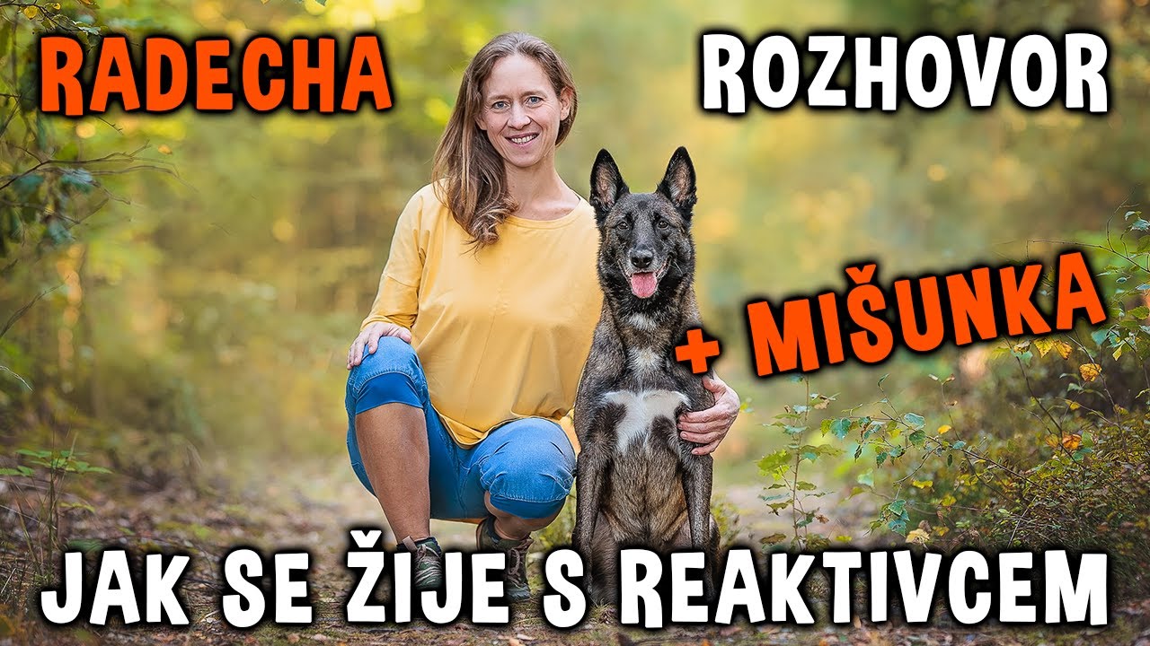 Jak se nám žije s REAKTIVCEM 🐶 Díl II. - Radecha a maliňačka Mišunka