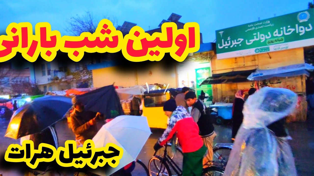 اولین باران زمستانی در جبرئیل هرات|خوشحالی مردم در جاده‌ها.