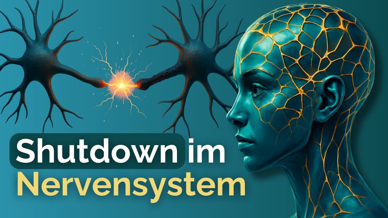 Wenn das Entwicklungstrauma erst im Erwachsenenalter ruft – Nervensystem‑Shutdown & kPTBS verstehen