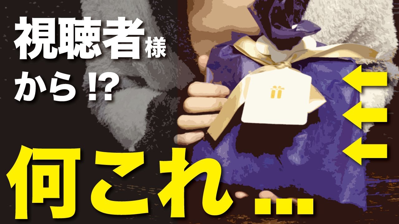 中身不明の贈りもの... 開封してみた！！！