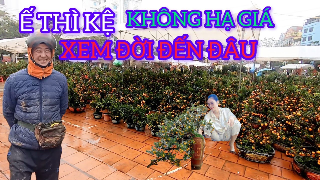 QUẤT TẾT 2026 VĂN GIANG Ế THÌ KỆ KHÔNG HẠ GIÁ ĐỪNG CÓ MƠ XEM ĐỜI ĐẾN ĐÂU 