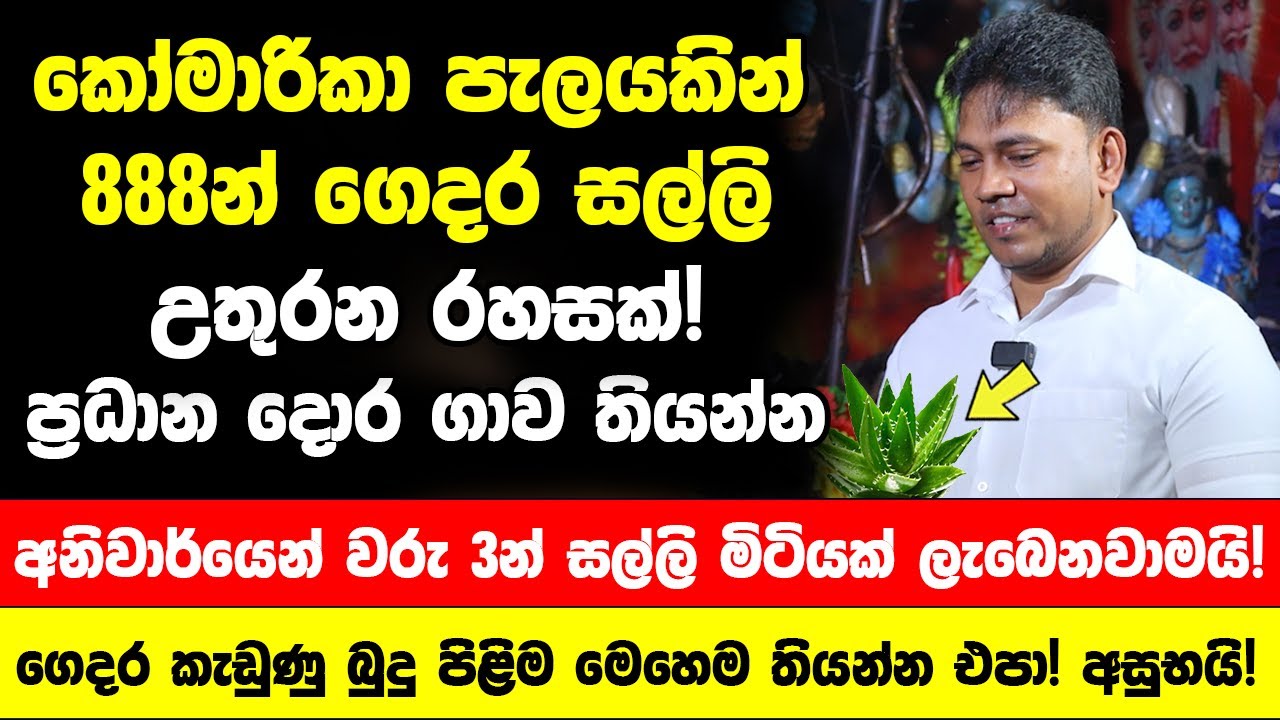 කෝමාරිකා පැලයකින් 888න් ගෙදර සල්ලි උතුරන රහසක්! - ගෙදර කැඩුණු බුදු පිළිම මෙහෙම තියන්න එපා! අසුභයි!