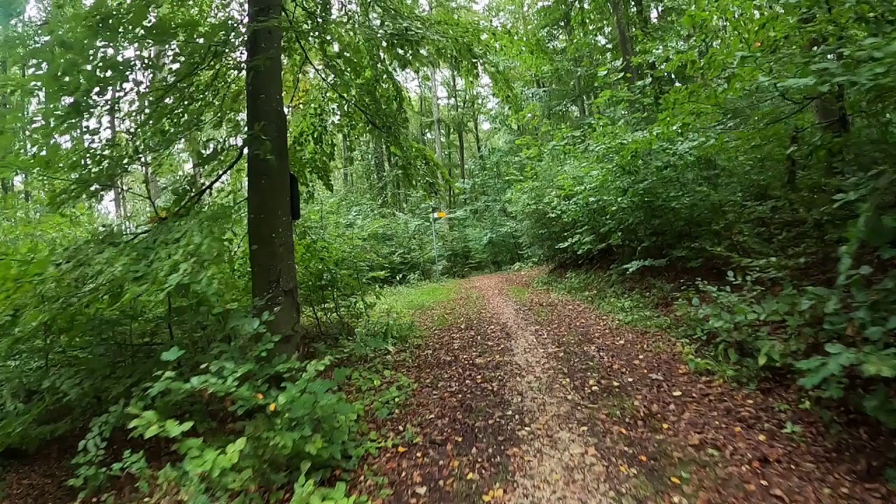 E-MTB-Tour Bernhardus