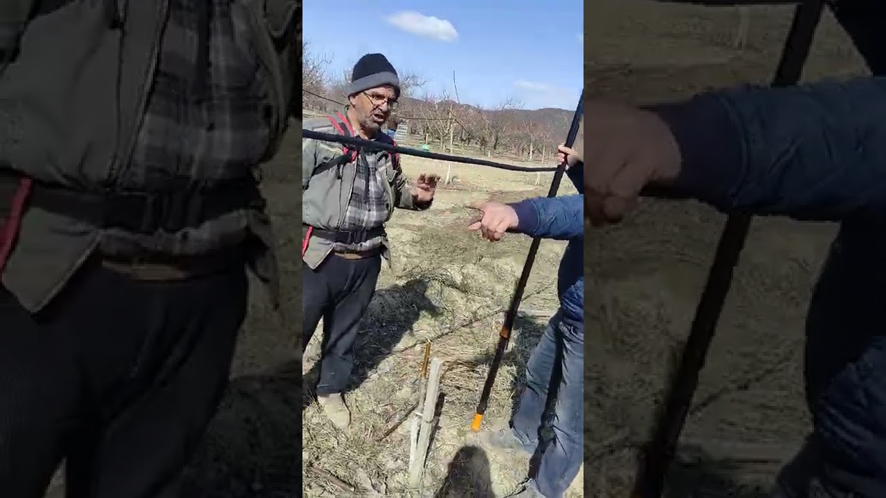 20 Mart Pazar KORKUTELİ (YAZIR) Bölgesinde Budama