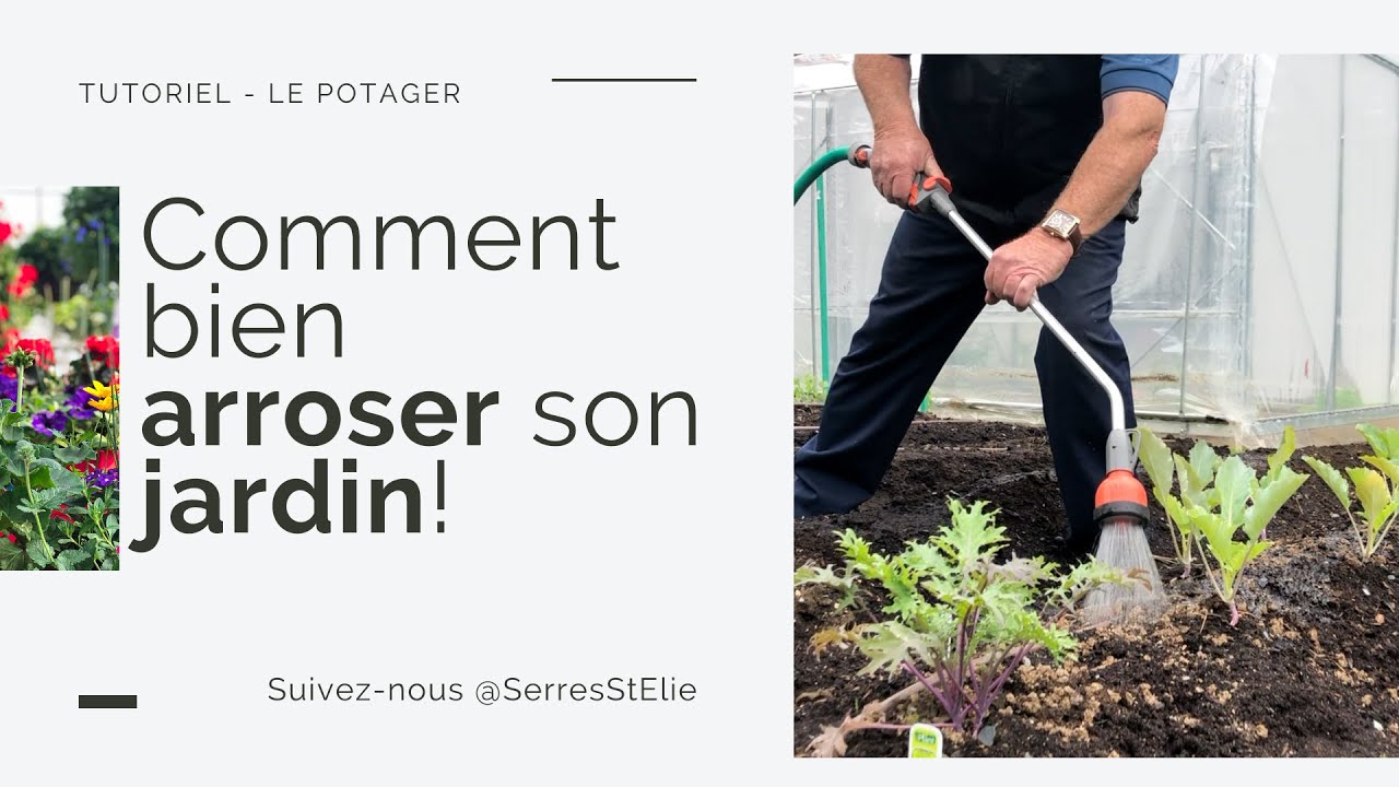Comment bien arroser son jardin 🥒🌽🥕