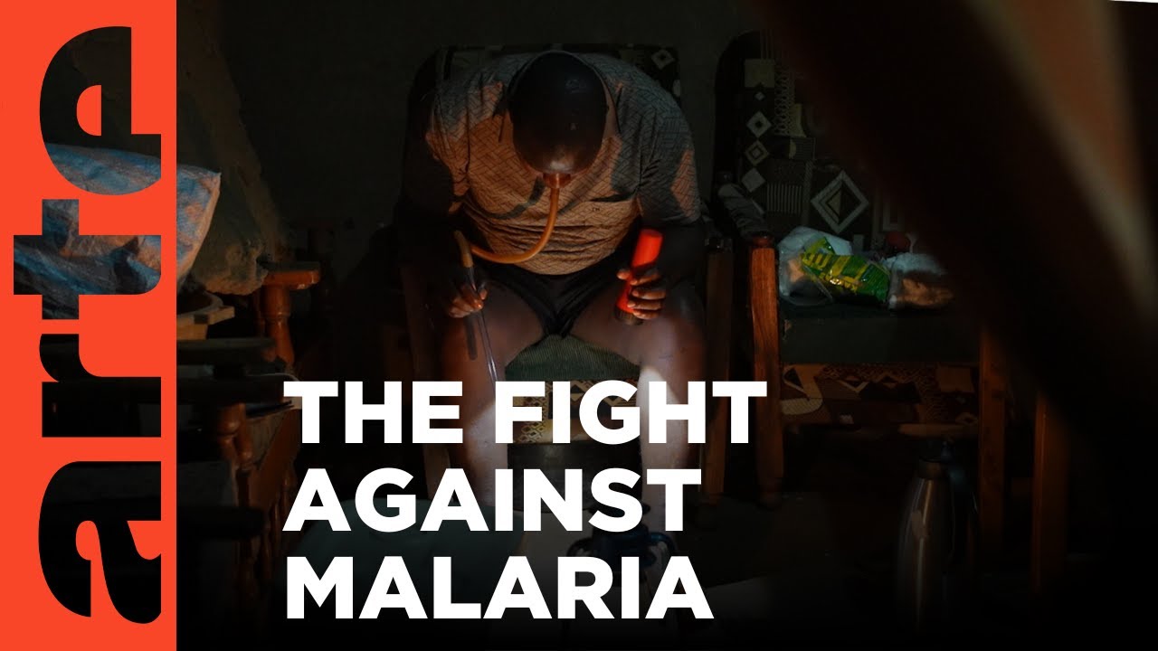 Kenya: Mosquitoes Fight Back | ARTE.tv Documentary