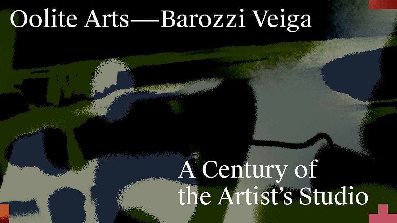 Oolite Arts, Miami: Alberto Veiga, Barozzi Veiga Arquitectos