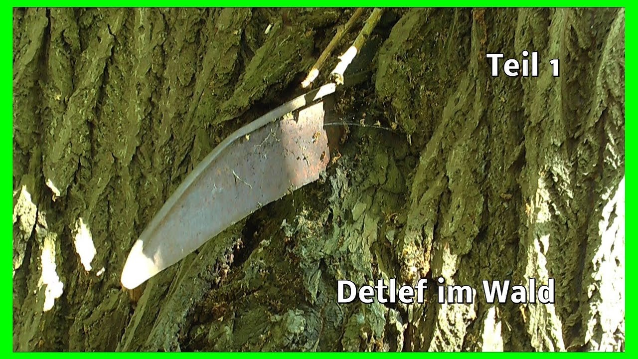 Der Wald Detlef auf Entdeckung Teil 1 Die Vergessene