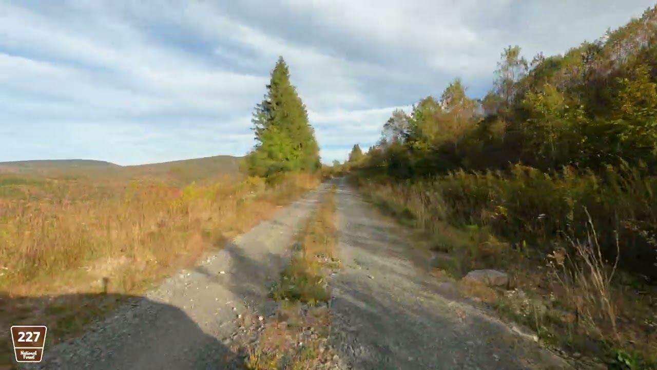 Exploring Unmarked Trail on Forest Service Road 227 - Cheat Mountain, West Virginia