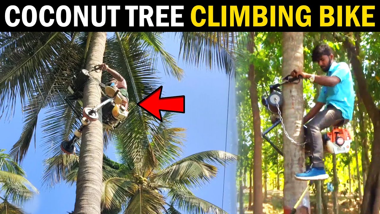 Coconut tree Climbing BIKE..! Coconut tree Climber Machine / Coconut tree Climbing Machine