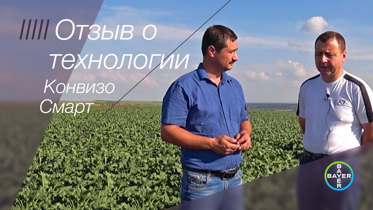 Отзыв о технологии Конвизо Смарт