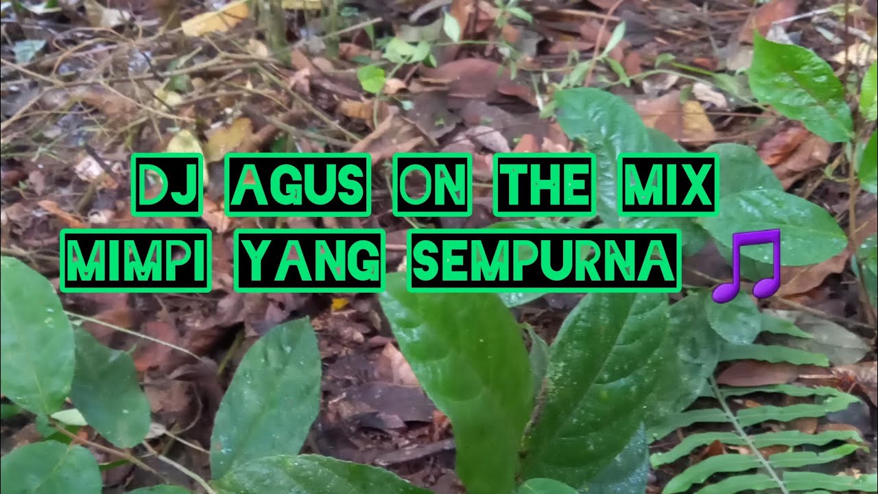 Dj Agus Mimpi Yang Sempurna | SABTU 30 OKTOBER 2021