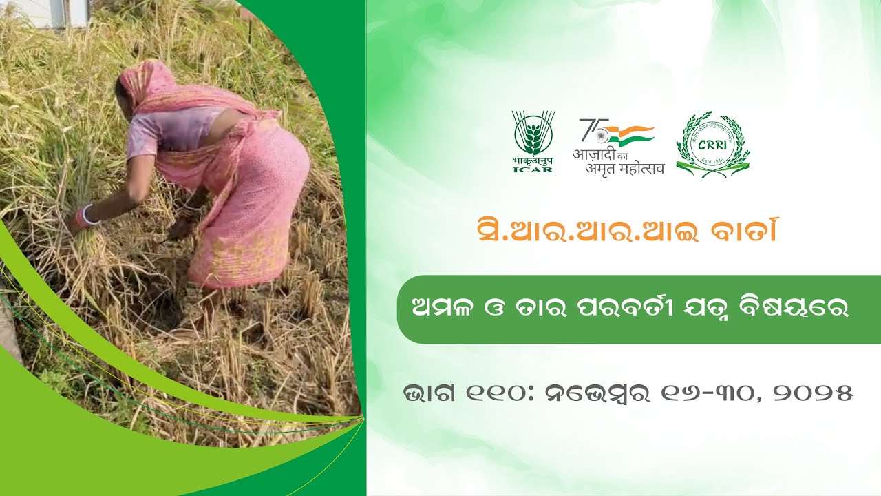 CRRI BARTA 16-30 NOVEMBER, 2025 (PART-110) II ICAR-CRRI, CUTTACK