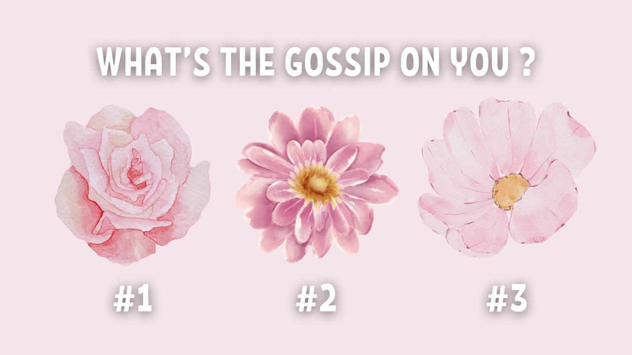 Pick a Card - What's The Gossip On You ? 🌸