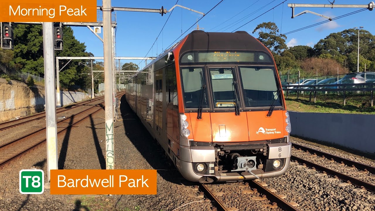 Transport for Sydney Vlog 121: Bardwell Park - Morning Peak