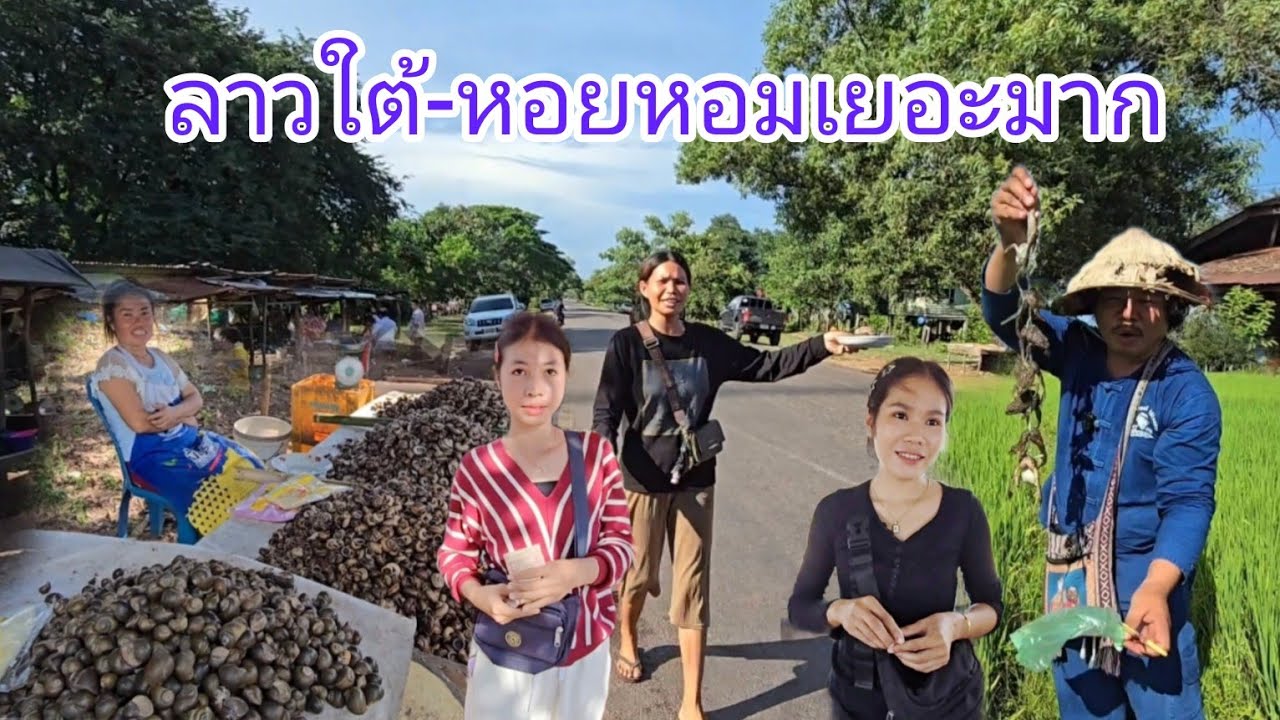 #เที่ยวลาวใต้ เข้าลาวอีกแล้ว ตลาดข้างทางเมืองชนะสมบูน หอยหอมเยอะมาก #สาวลาว น่ารัก#เที่ยวลาว #สปปลาว
