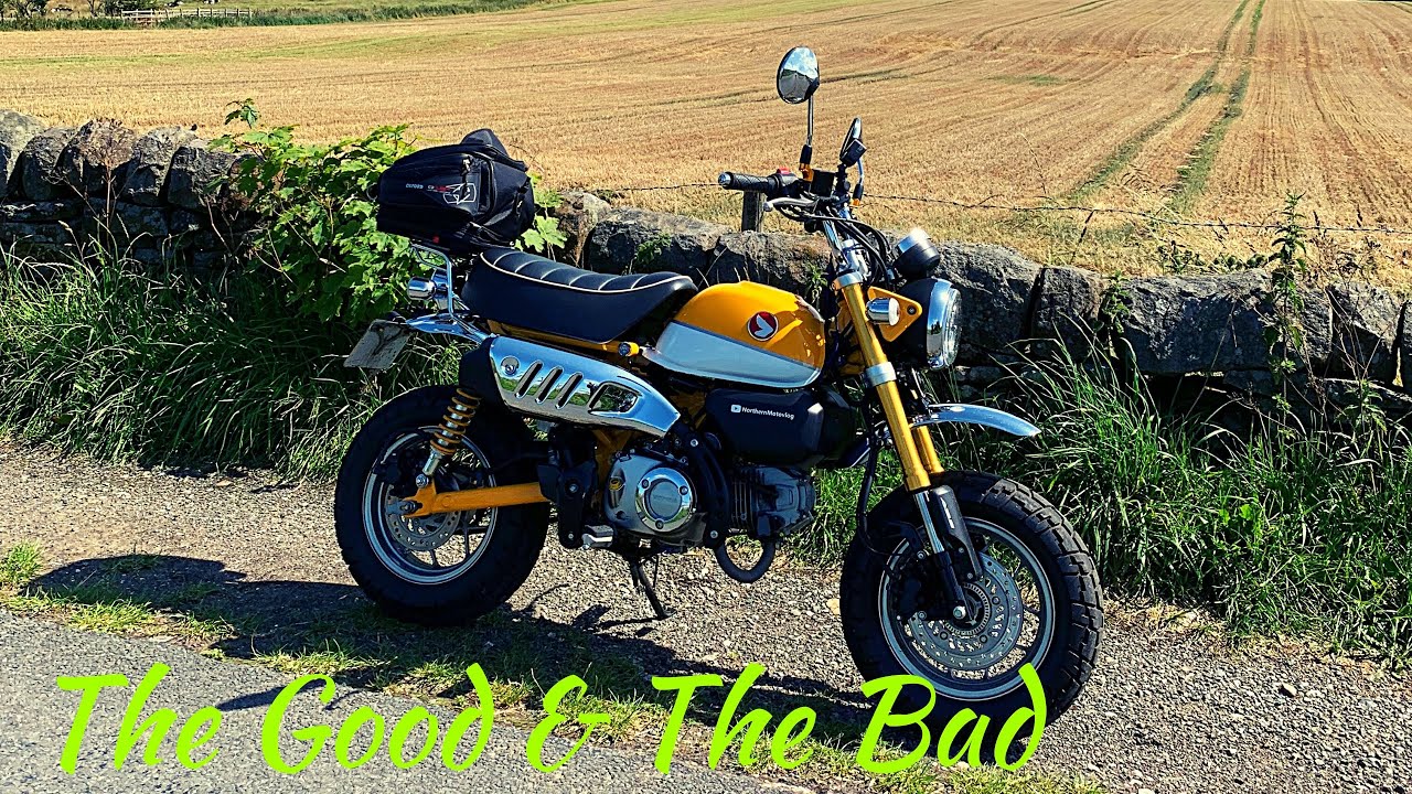 Обзор Honda Monkey за 12 месяцев.