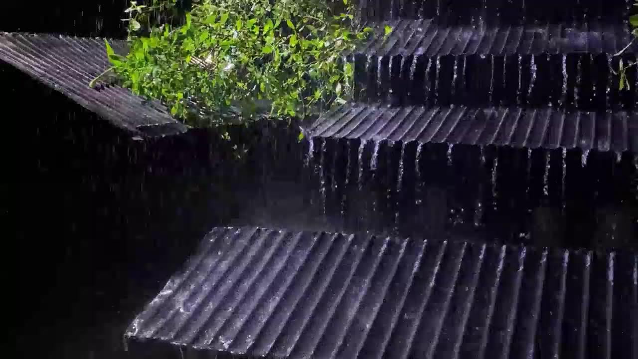 [Drifting to SLEEP]No Ads💦😴Rain Sounds with Calm Thunder🔥Fire Crackling for Deep Healing & Relax