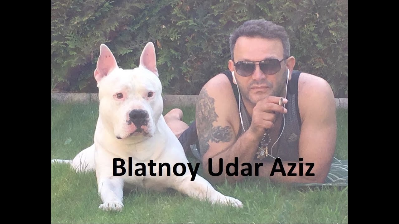 (✵18)Blatnoy Udar Aziz - ✵ Pod Kaifam ✵ (2018 Live)