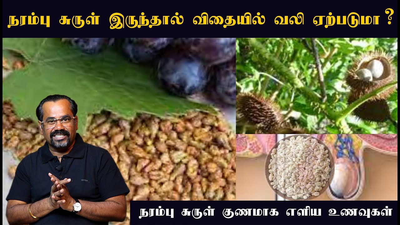 நரம்பு சுருள் இருந்தால் விதையில் வலி ஏற்படுமா? | வயிற்று வலி | வாயு பிடிப்பு | Varicocele treatment