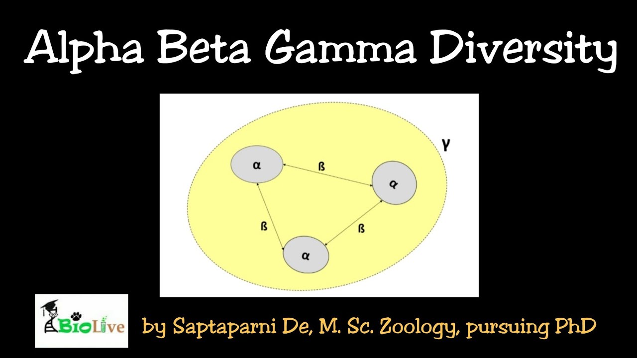Alpha Beta and Gamma Diversity