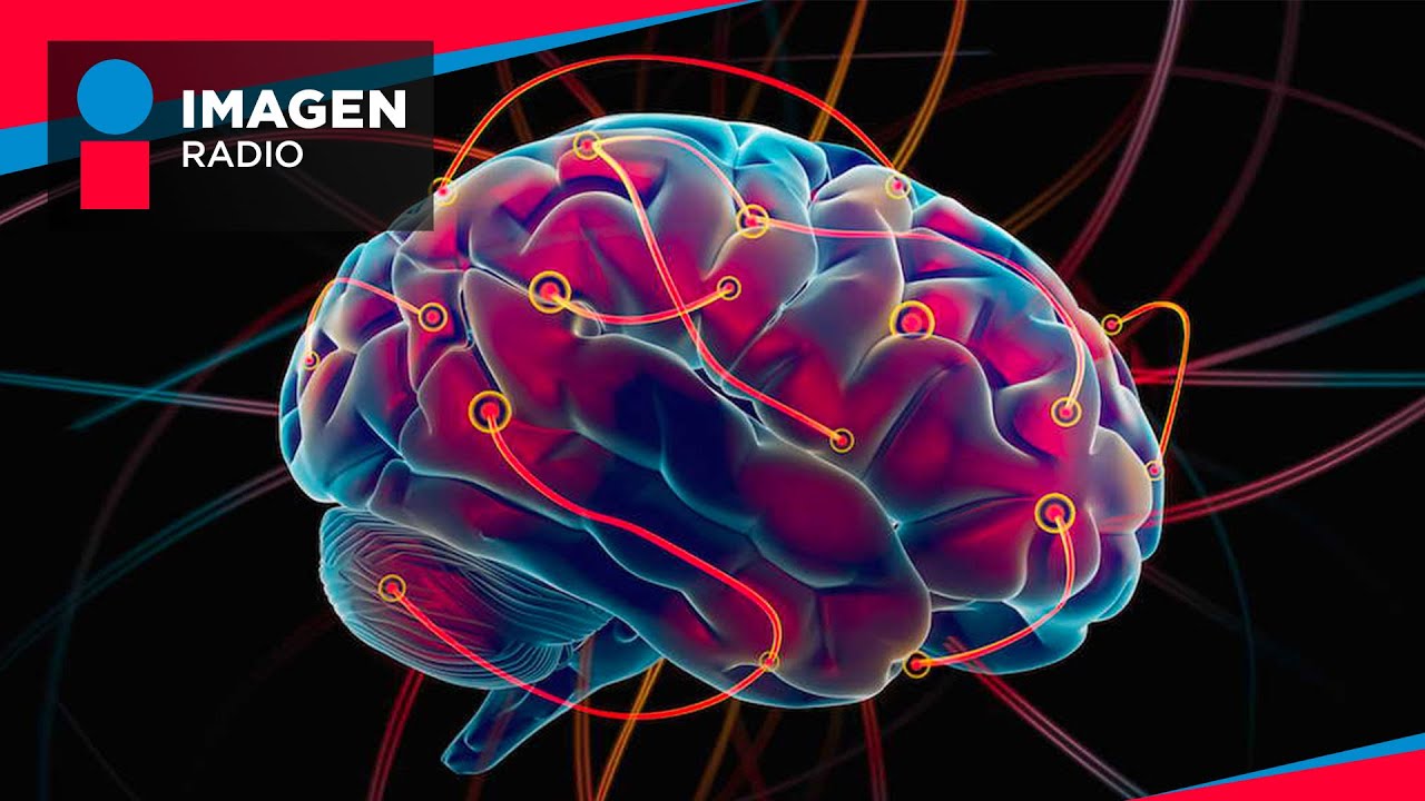 ¿Cómo producir más dopamina y serotonina? | Bien y Saludable