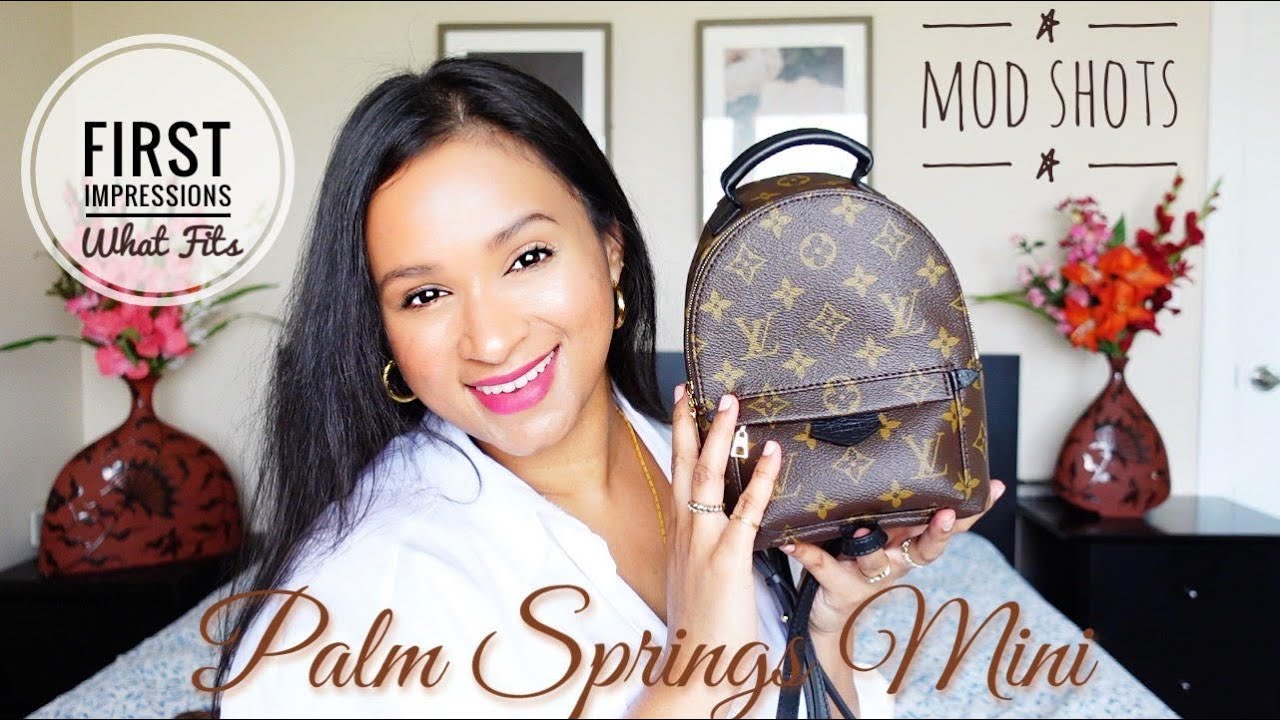 PANIC BUY - LV LIMITING CANVAS: PALM SPRINGS MINI BACKPACK - What Fits, Pros & Cons, Mod Shots