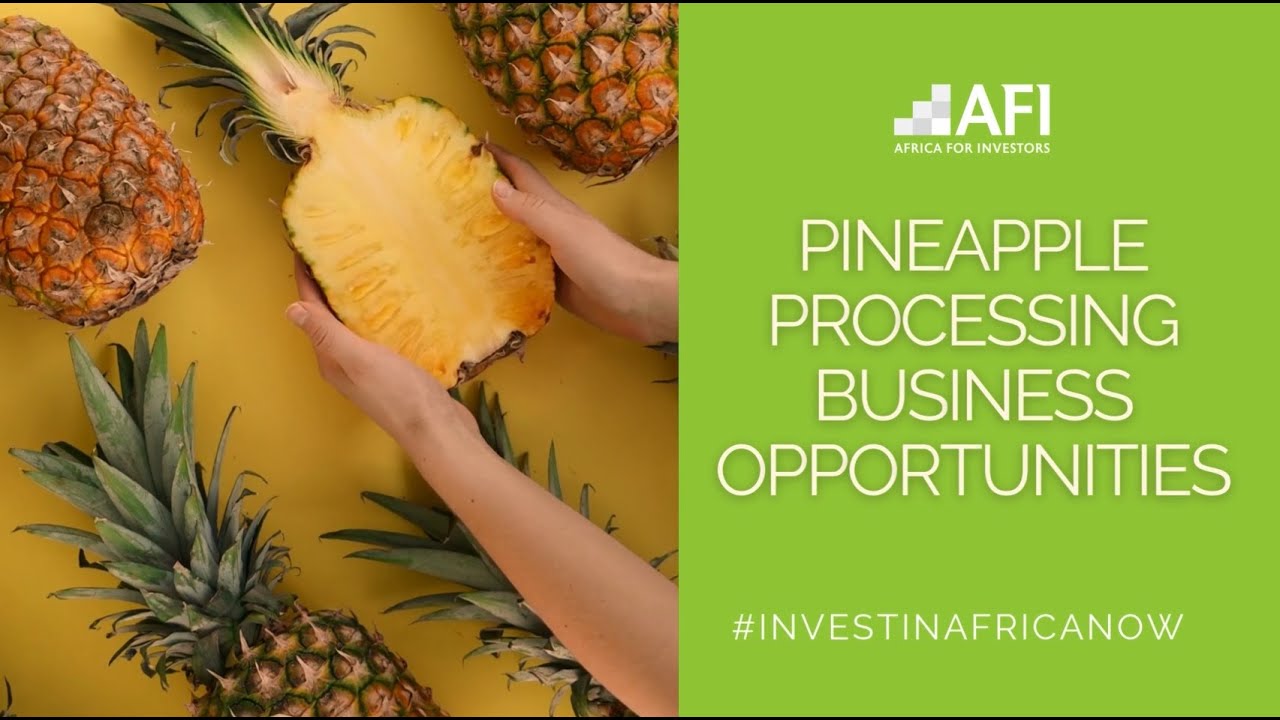 Pineapple Processing Business Opportunities