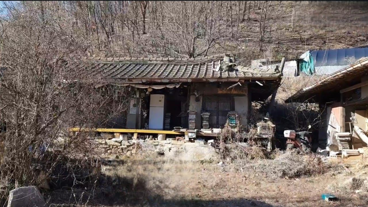 그리운 옛날 집 그대로 놔두고 사람들은 모두 사라졌다 