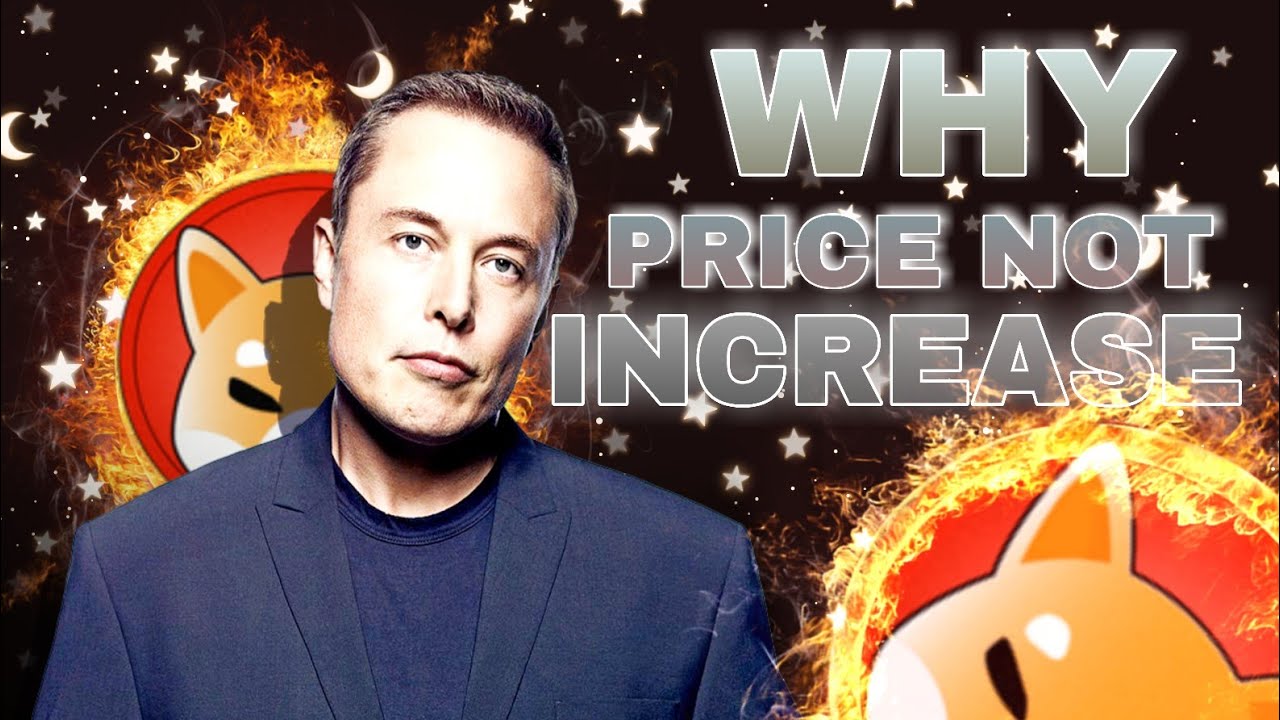 SHIBA SWAP LOUNCH | BUT PRICE NOT INCREASED 🤔