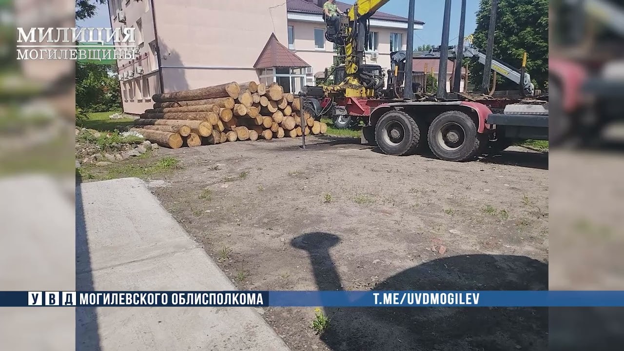 В Бобруйске задержаны местные жители за хищение лесопродукции