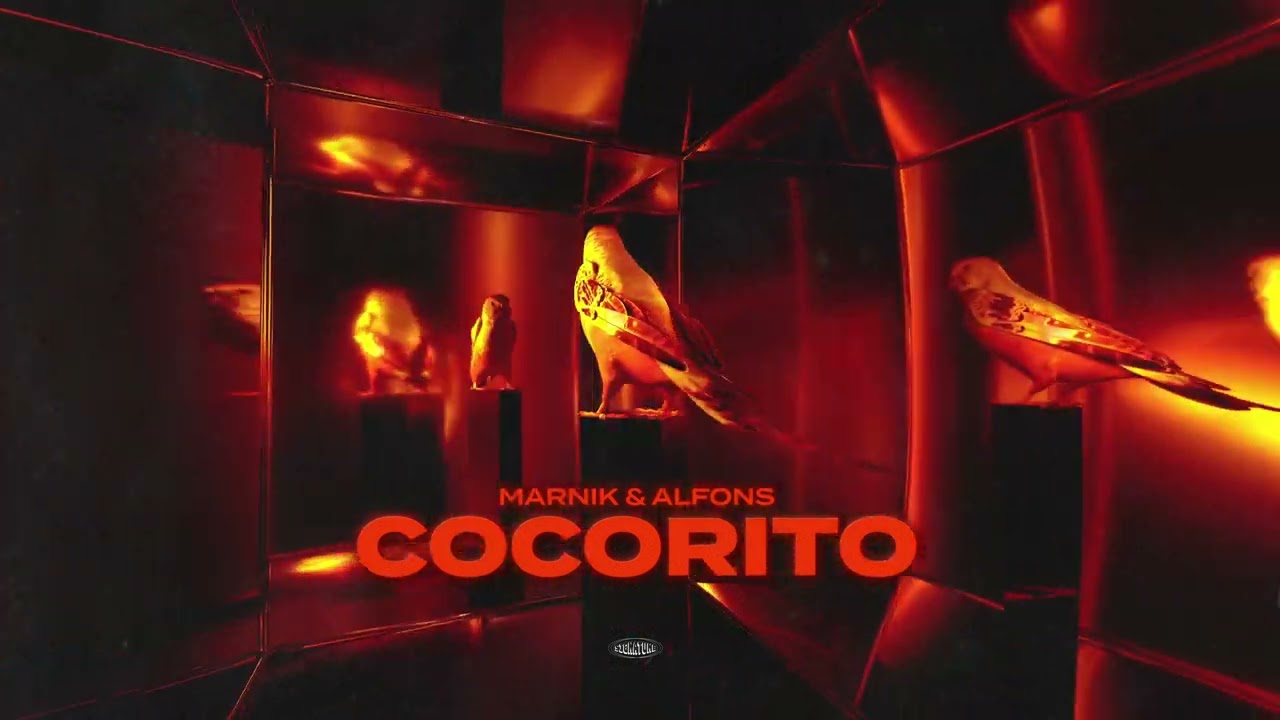Alfons, Marnik - Cocorito (Official Visualizer)