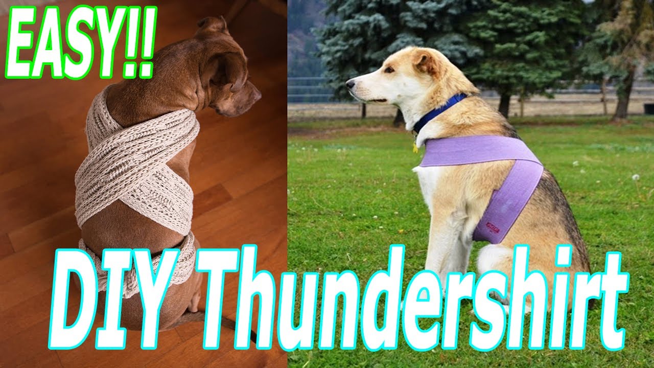 EASY! How to DIY THUNDERSHIRT (4th of July WEEKEND) Fireworks Dogs Cats Keep Pets Safe!!