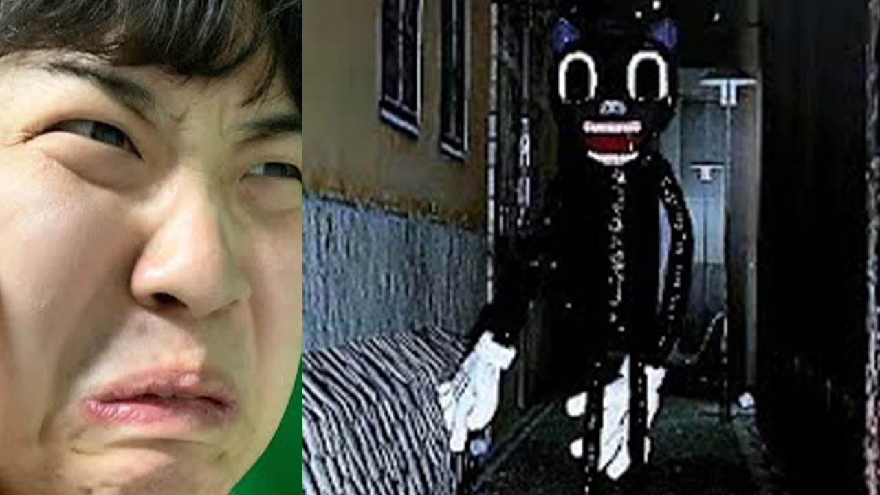 게리모드에 새로운 카툰캣모드가 나왔습니다. 와 헐크 한방 실화야..?