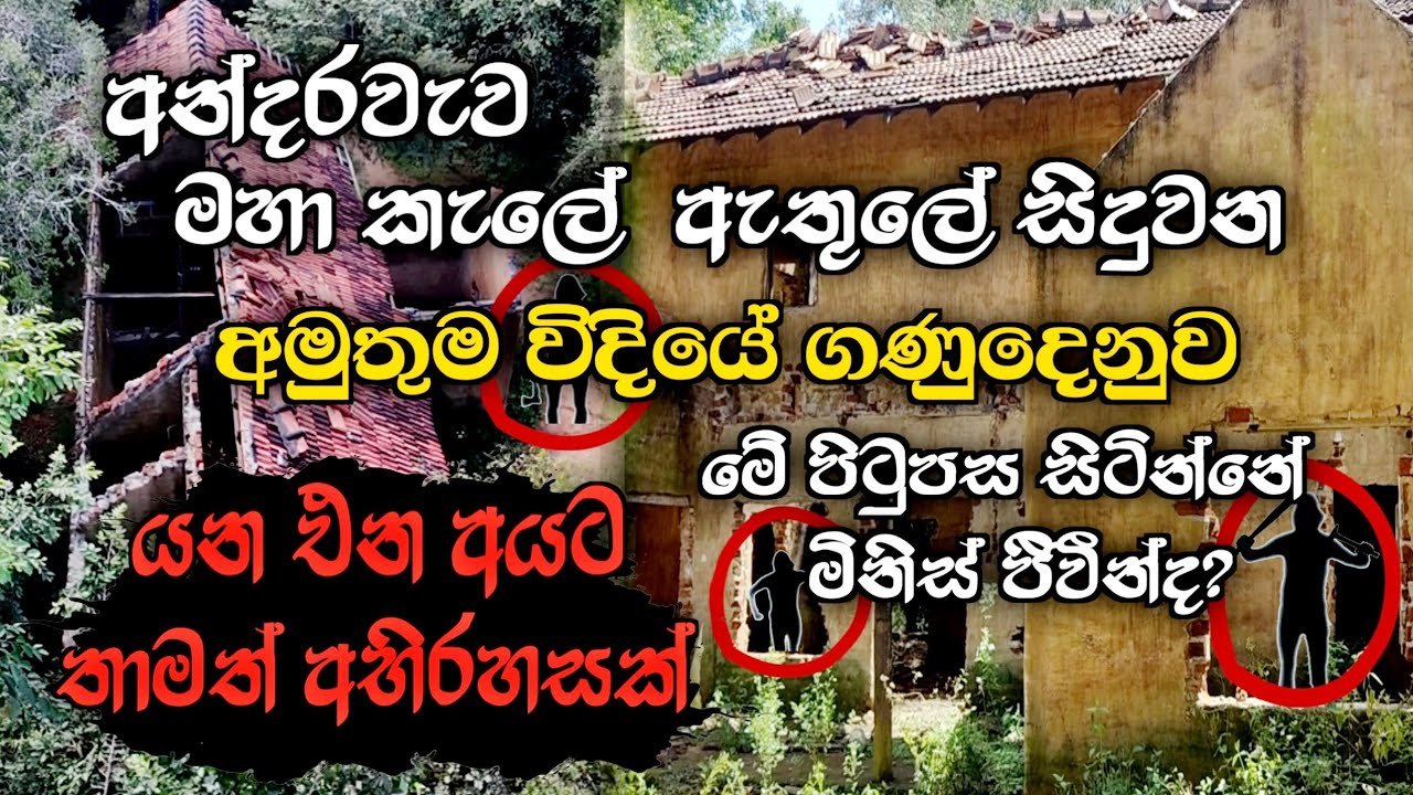 අන්දරවැව මහා කැලේ ඇතුලේ සිදුවෙන අමුතුම විදියේ ගණුදෙනුව මේක පිටුපස සිටින්නේ මිනිස් ජීවීන්ද #siwhelatv