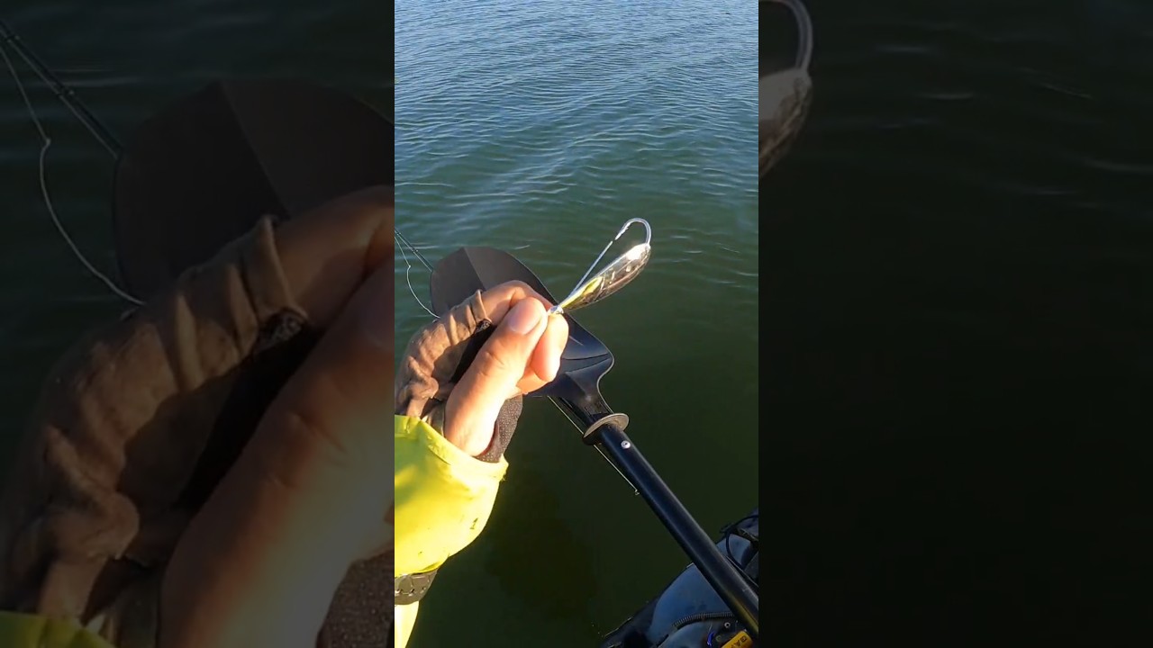 VOU TE ENSINAR A PESCAR DE COLHER!!! #tucunare #pescaria #pesca #iscaartificial #viralvideo