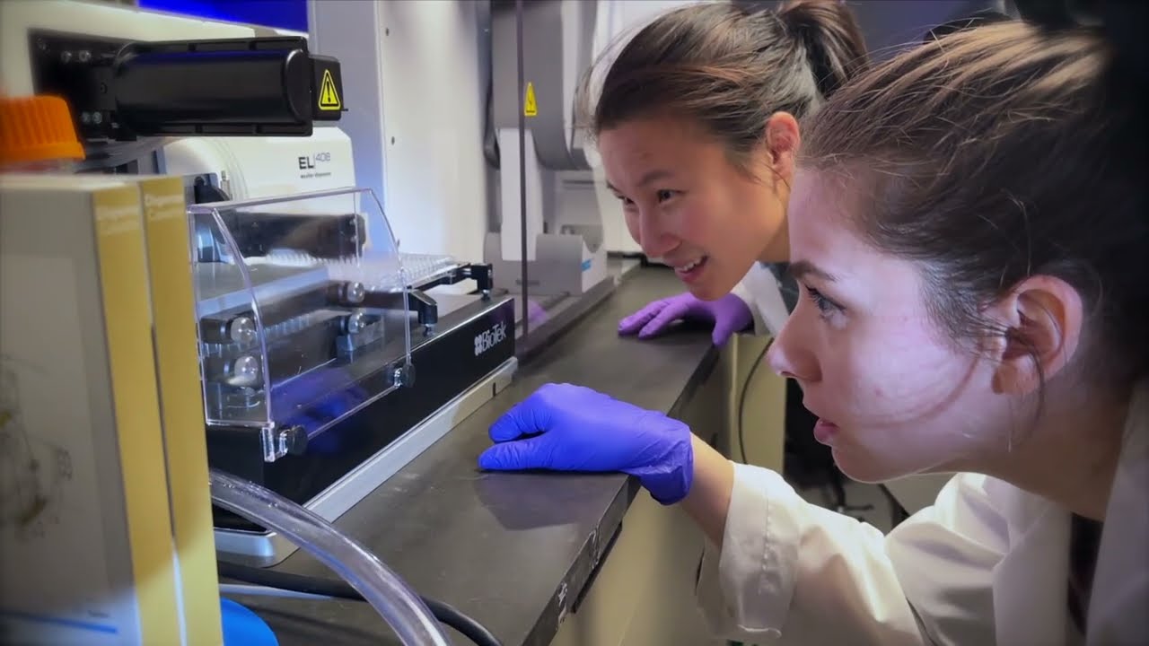 Investing in Basic Science Research at Albert Einstein College of Medicine